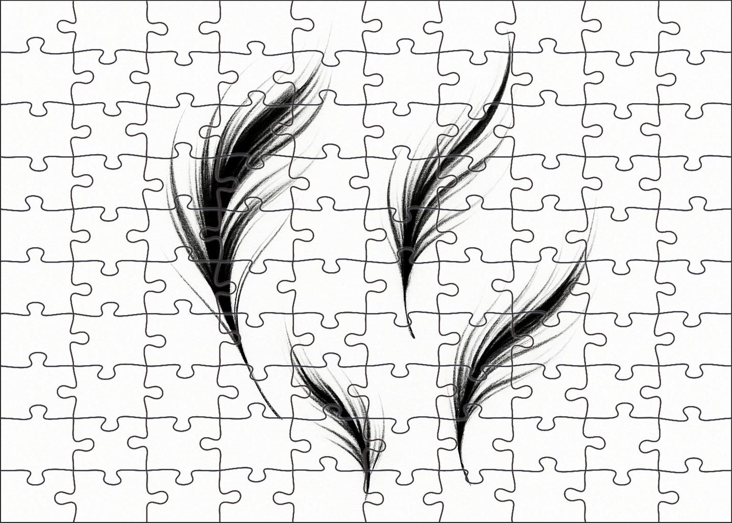 Abstract Feather Forms Minimalist Ink And Brush Stroke Study Puzzle Challenge