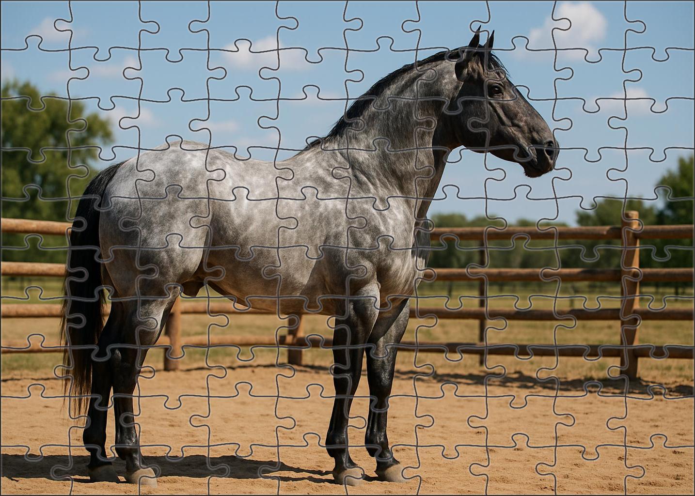 Sterling Glimmer Striking Silver Roan Quarter Horse Gelding 200 Piece Puzzle