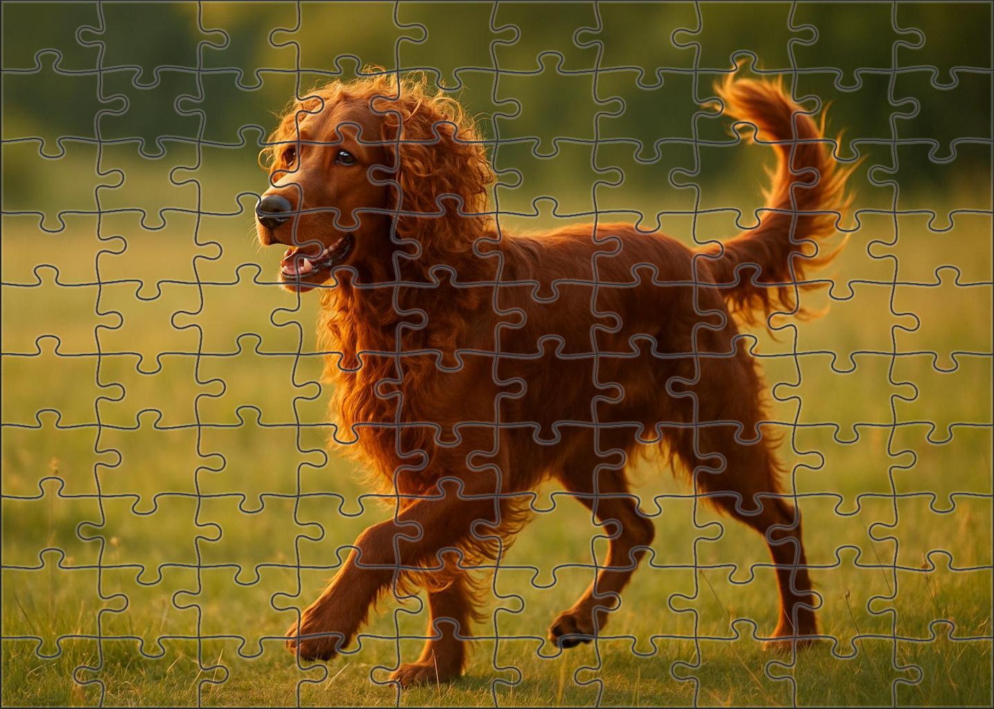 Rust Whirl Spiraled Auburn-coated Herding Dog With Energetic Spirit Puzzle Collection