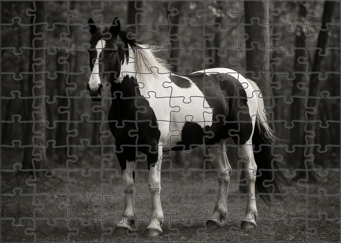 Shadow Dancer Gypsy Vanner Striking Black And White Piebald Gelding Large Format Puzzle