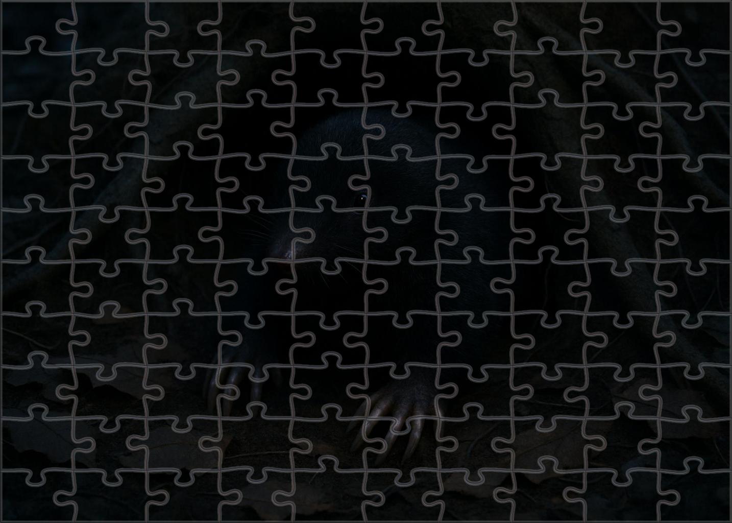 Obsidian Whisper Shadow-dwelling Burrower 50 Piece Puzzle