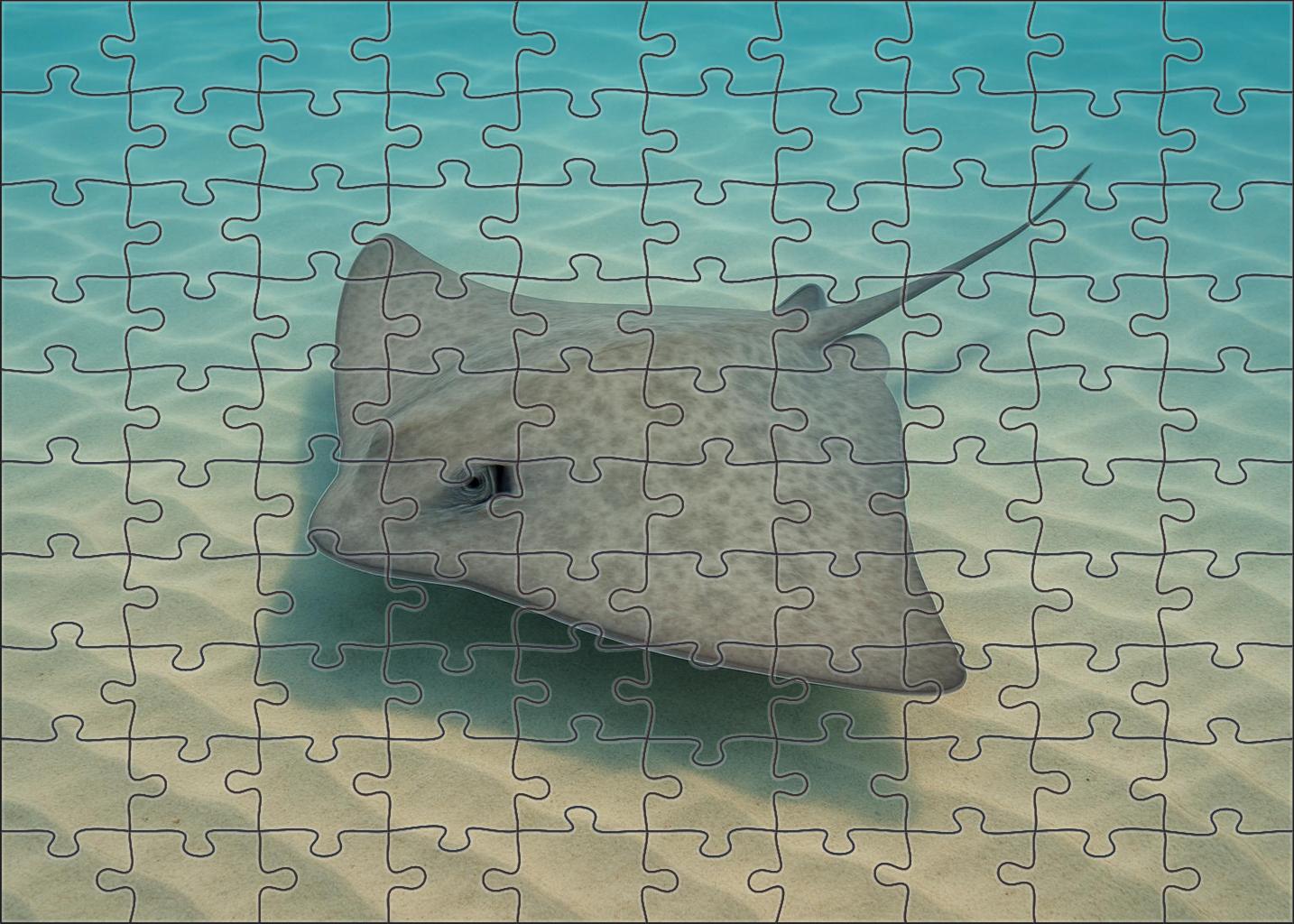 Dusky Wave Ray Broad-winged Filter-feeder With Subtle Patterning Mini Puzzle