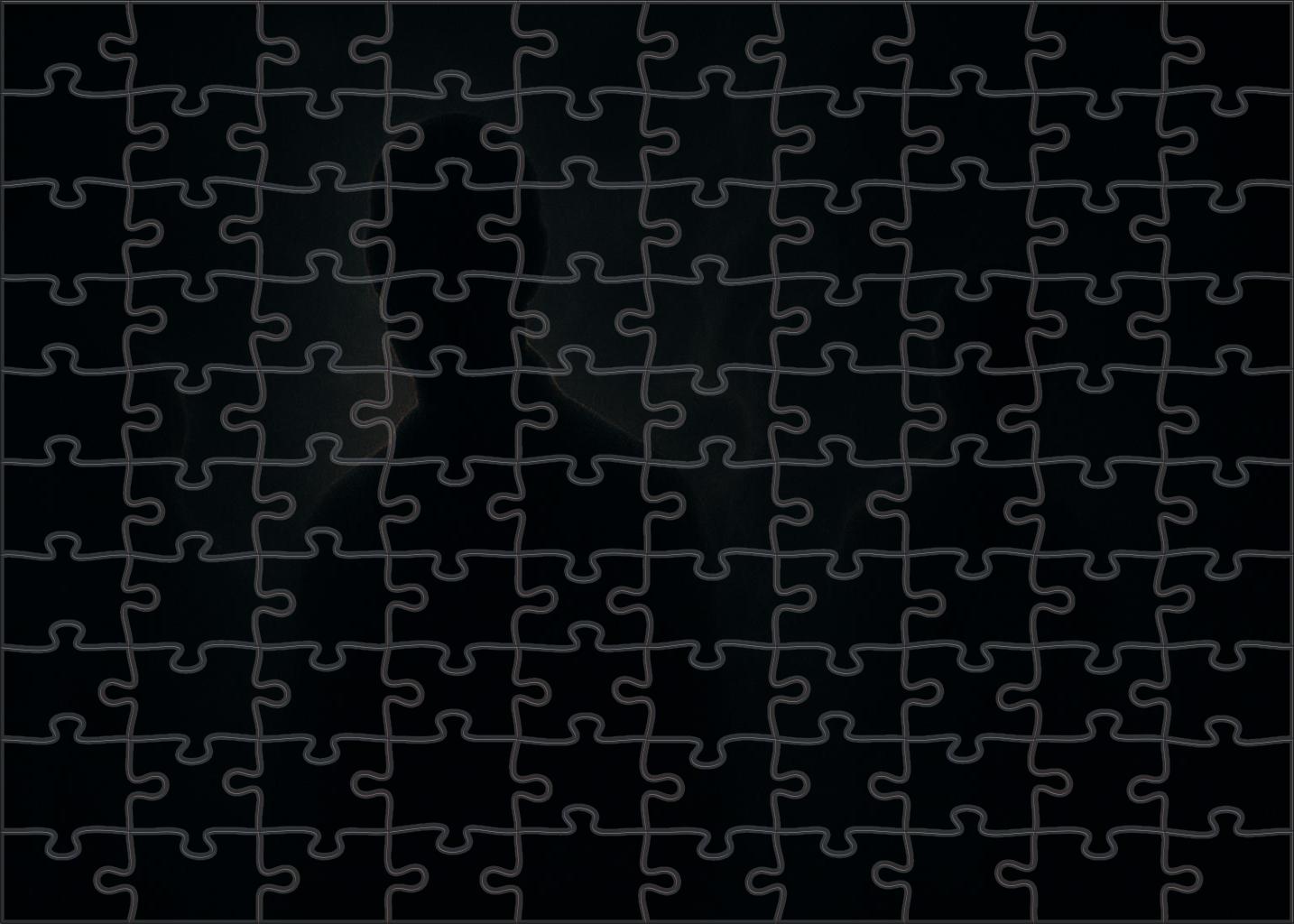 Eclipsing Shadows Of Perception 500 Piece Puzzle