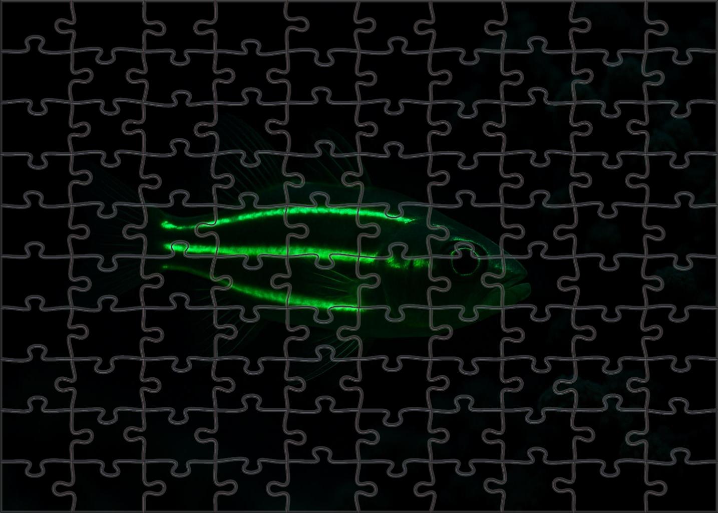 Glowing Tidefish Nocturnal Bioluminescent Forager 1000 Piece Puzzle