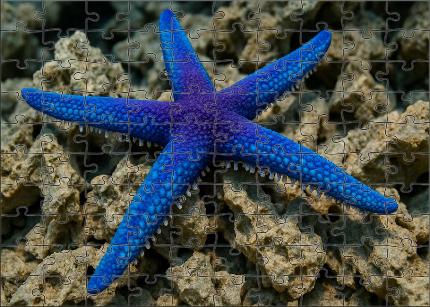 Celestial Sea Star Five-armed Coral Hunter Challenging Puzzles