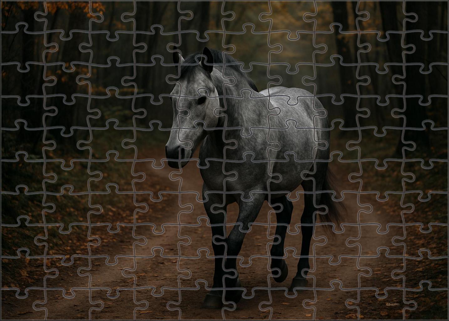 Stormbreaker Welsh Pony Stallion Challenging Puzzles