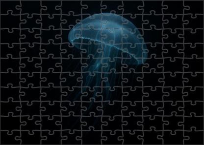 Phantom Jelly Transparent Deep-water Drifter With Pulsing Bioluminescence Puzzle Collection