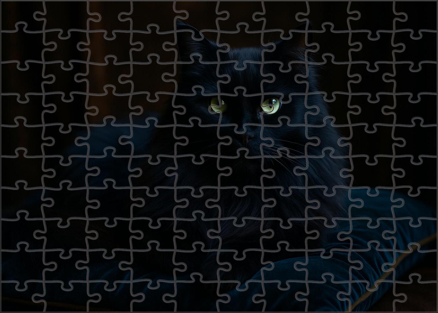 Midnight Opal Deep Blue-black Longhair With Gentle Mystery 200 Piece Puzzle