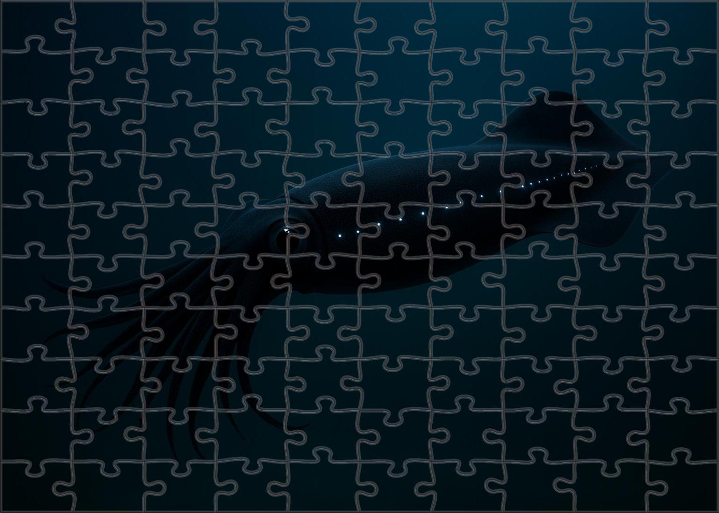 Dusky Velvet Squid Nocturnal Soft-bodied Hunter Easy Puzzles
