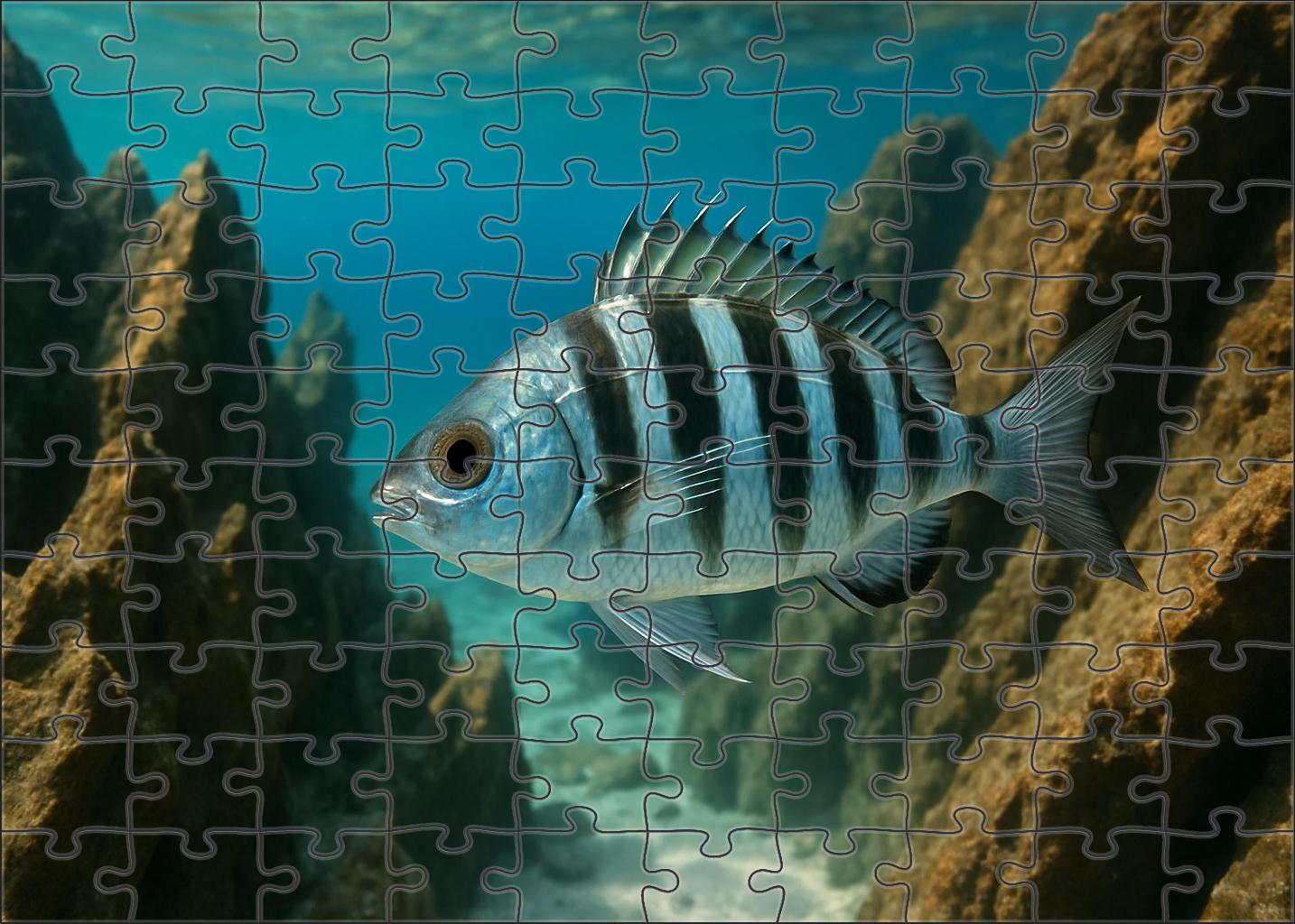 Silverband Spinefish Armored Darter With Reflective Scales 200 Piece Puzzle