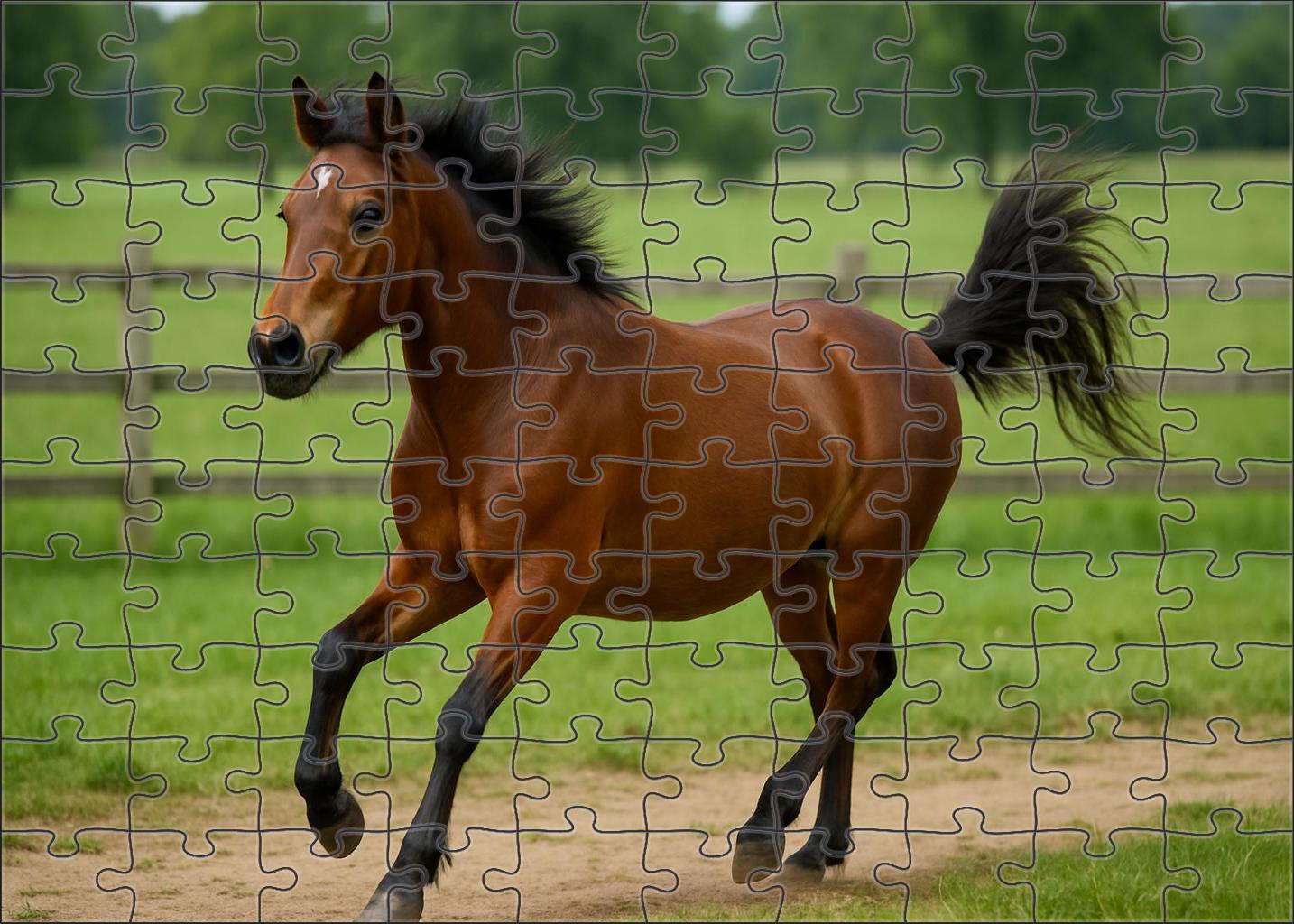 Storm Ridge Pony Compact Bay With Spirited Attitude 500 Piece Puzzle