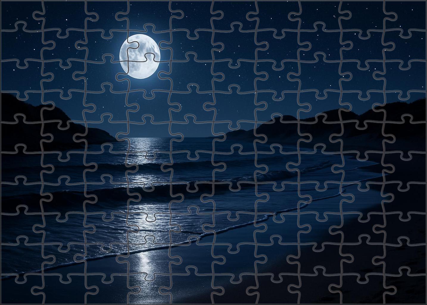 Moonlit Shoreline Trail Puzzle Challenge