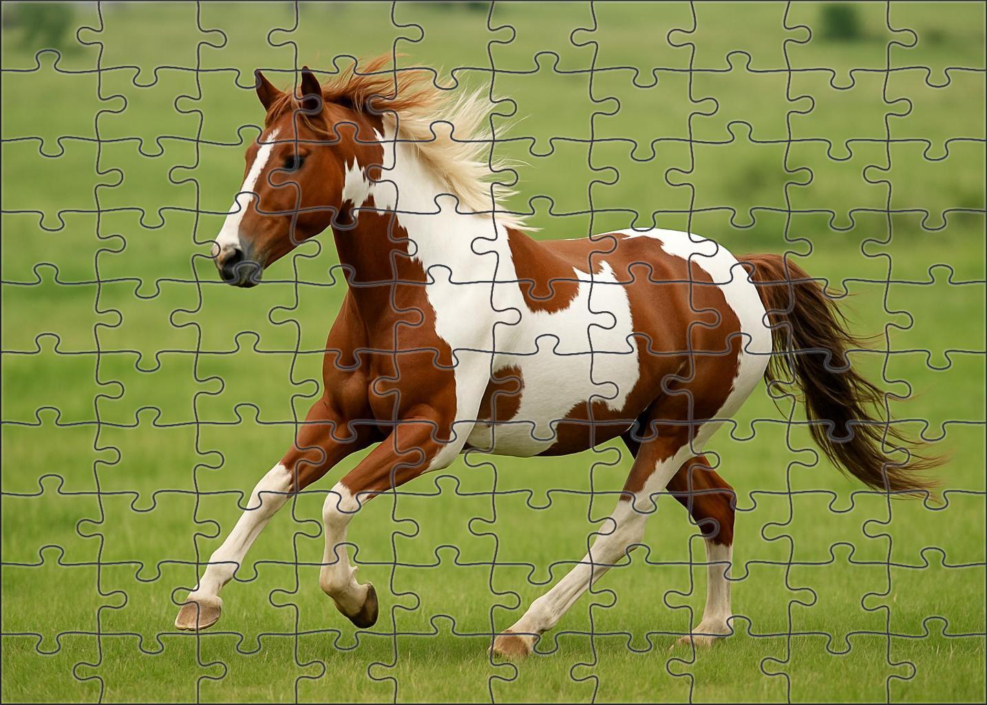 Maple Grove Pinto Gelding Vibrant Tobiano With Dynamic Energy Puzzle Collection