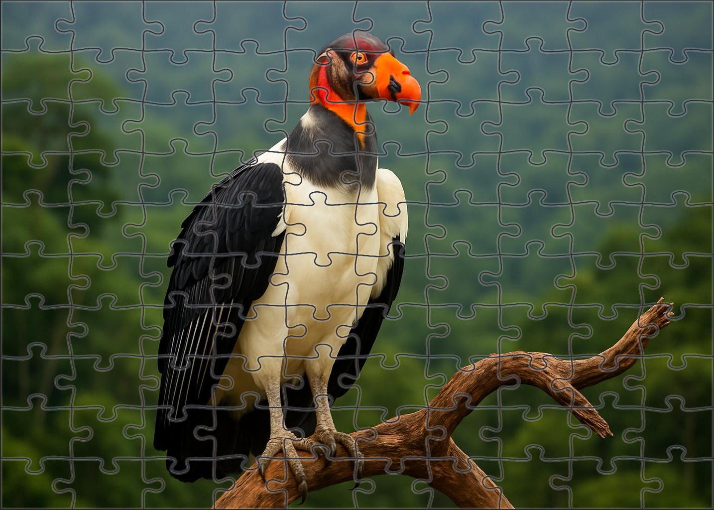 King Vulture Majestic Carrion Guardian Custom Jigsaw Puzzle