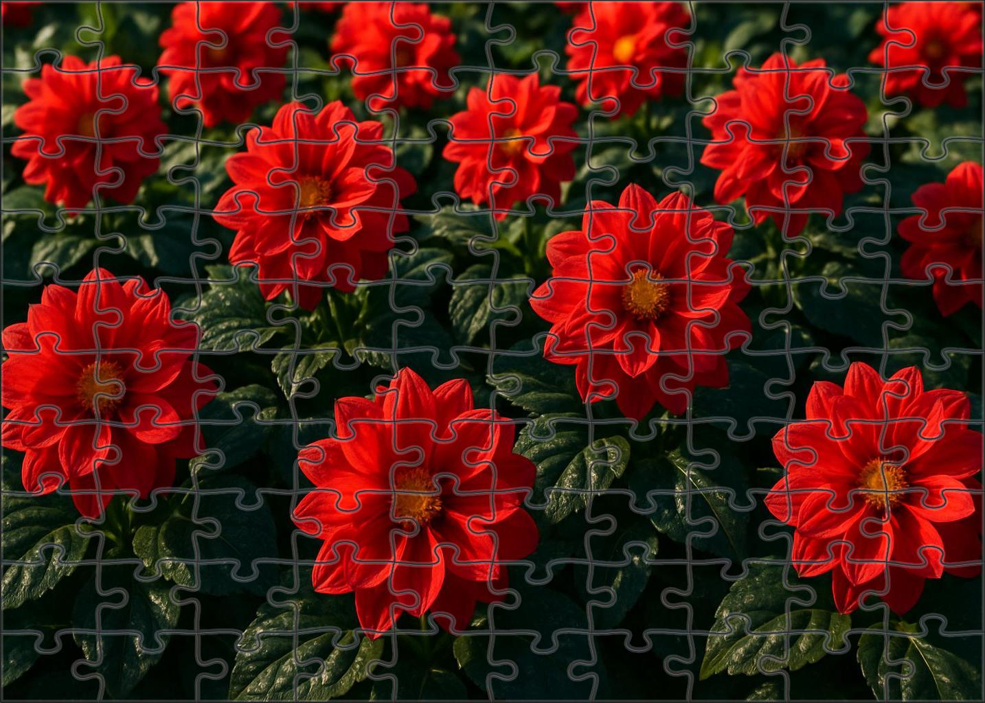 Crimson Glow Garden Bed 50 Piece Puzzle