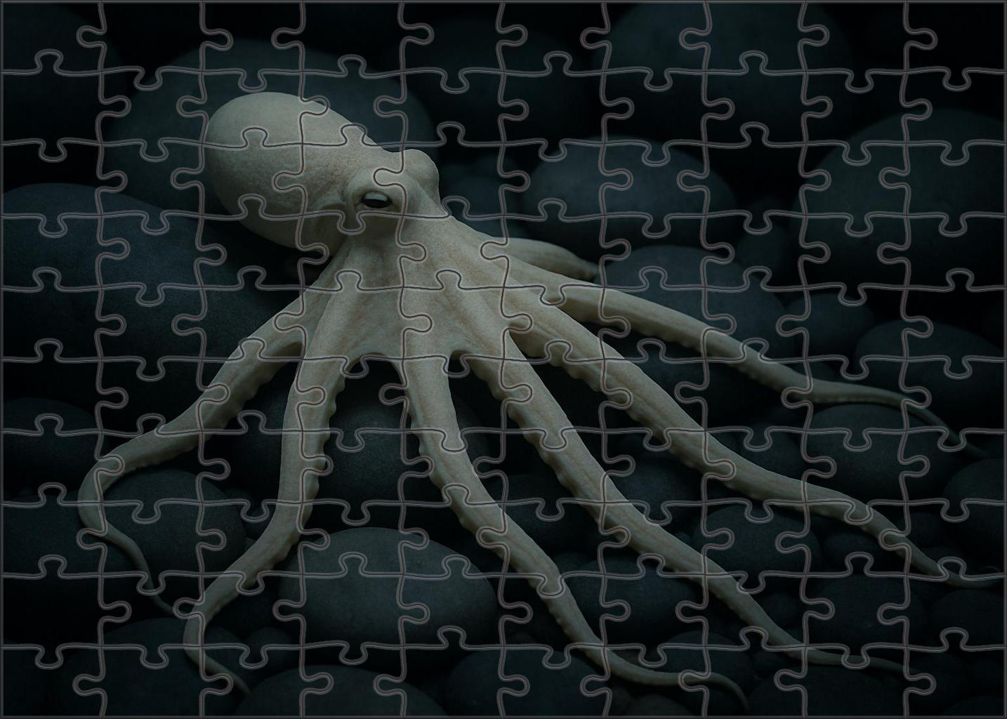 Ivory Tentacle Octopus Small Cephalopod With Long Slender Arms And Pale Coloration Easy Puzzles