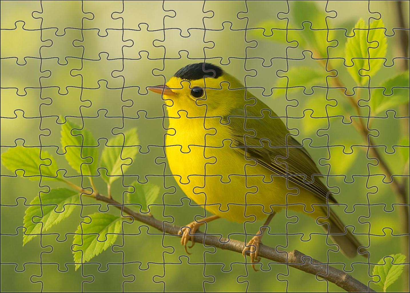 Wilsons Warbler Little Flash Of Yellow Puzzle Fun