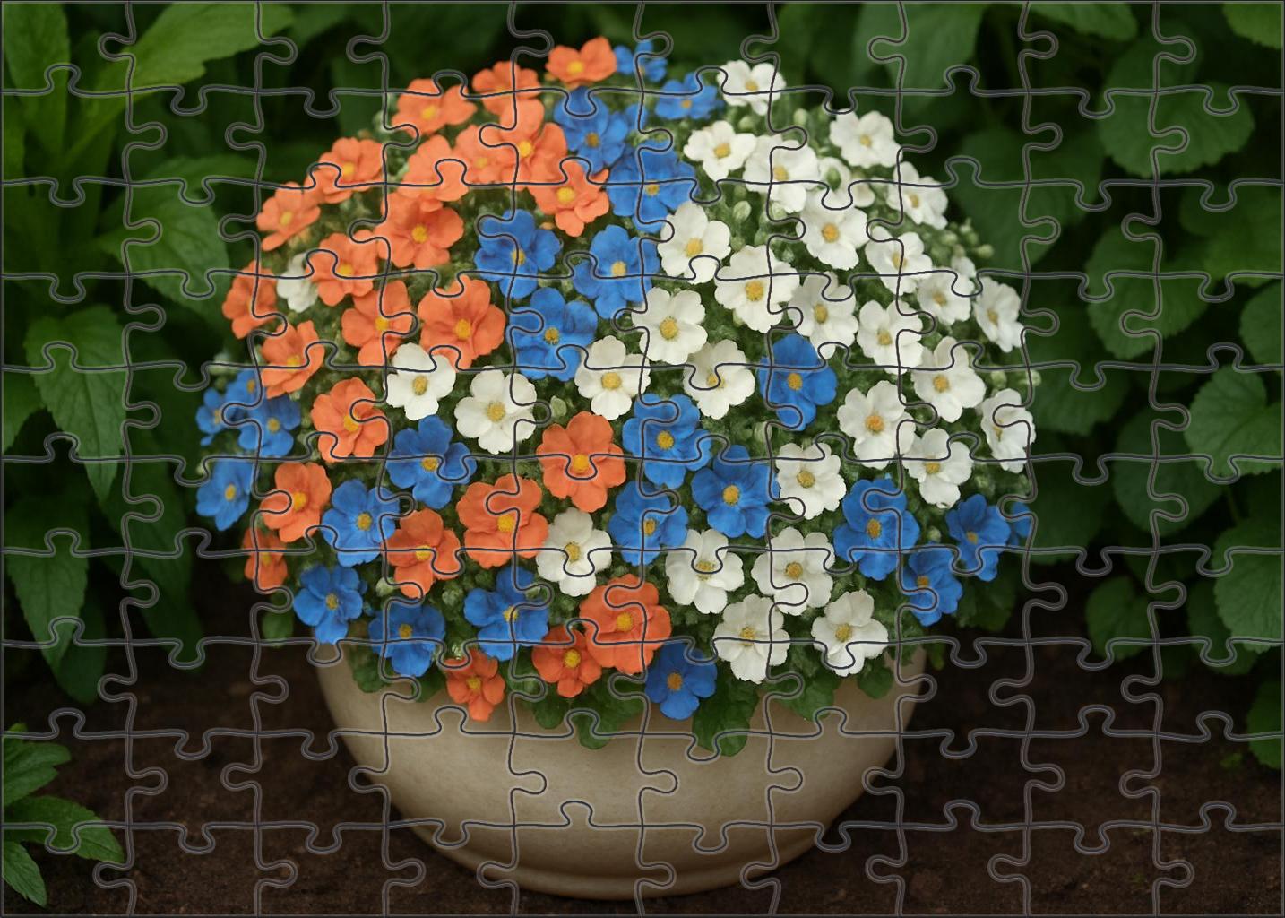 Coral Reef Planter Ensemble Puzzle For Adults