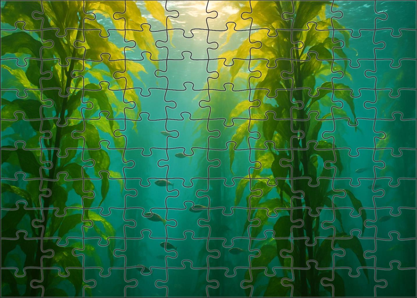 Twilight Kelp Canopy 300 Piece Puzzle