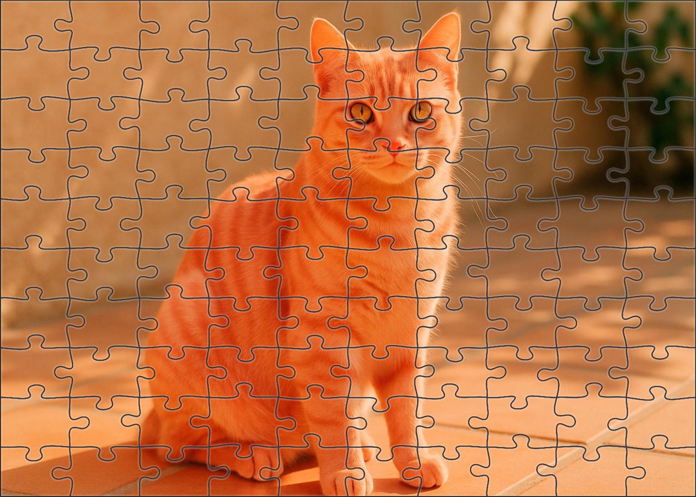 Coral Breeze 200 Piece Puzzle