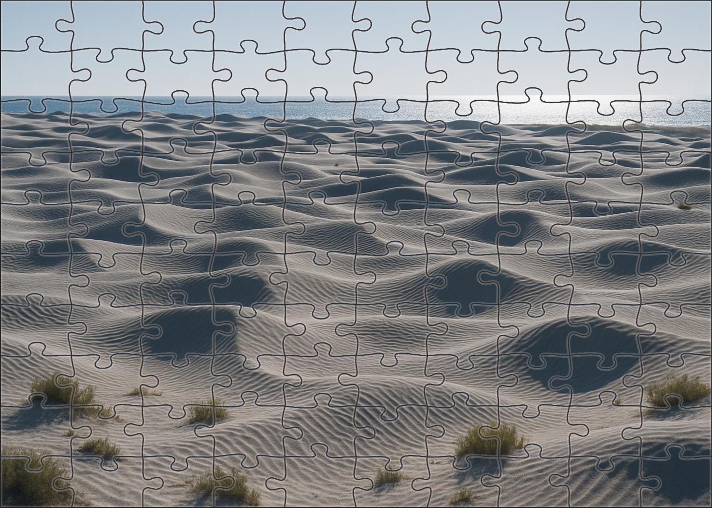 Silver Dune Expanse Puzzle Challenge