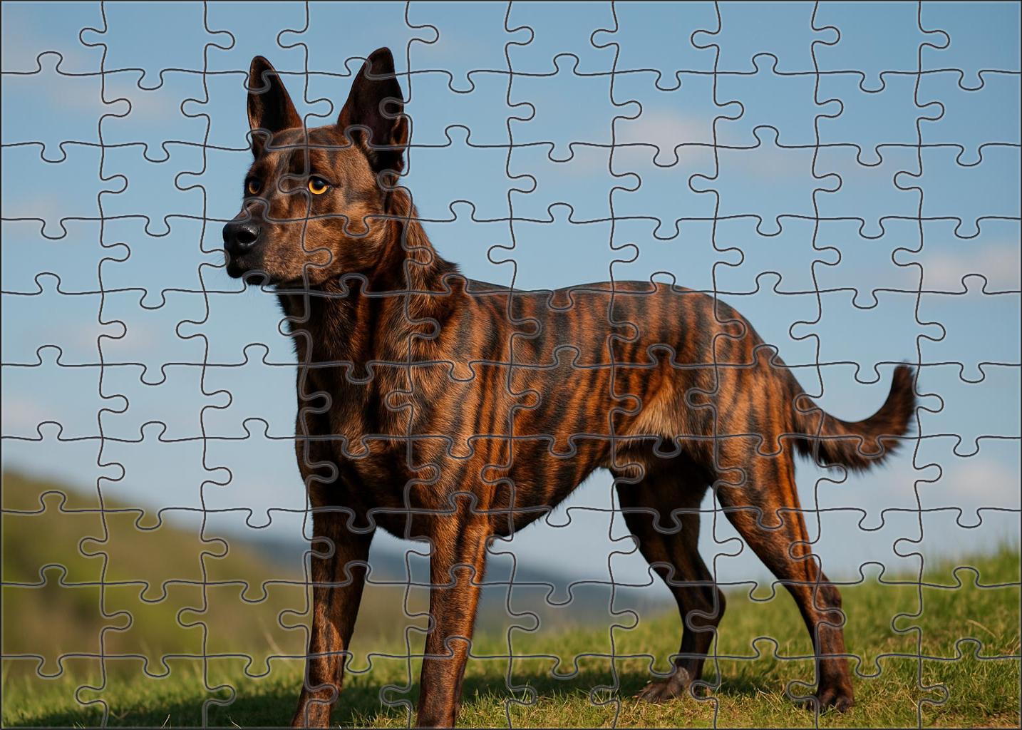 Brindle Flame 500 Piece Puzzle