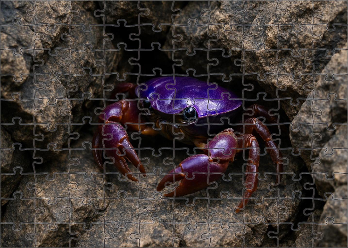 Violet Armored Crab Compact Crustacean With Reflective Carapace Mini Puzzle