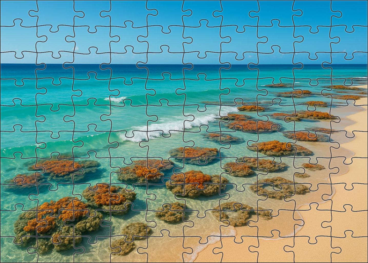 Sunlit Coral Shoreline 50 Piece Puzzle