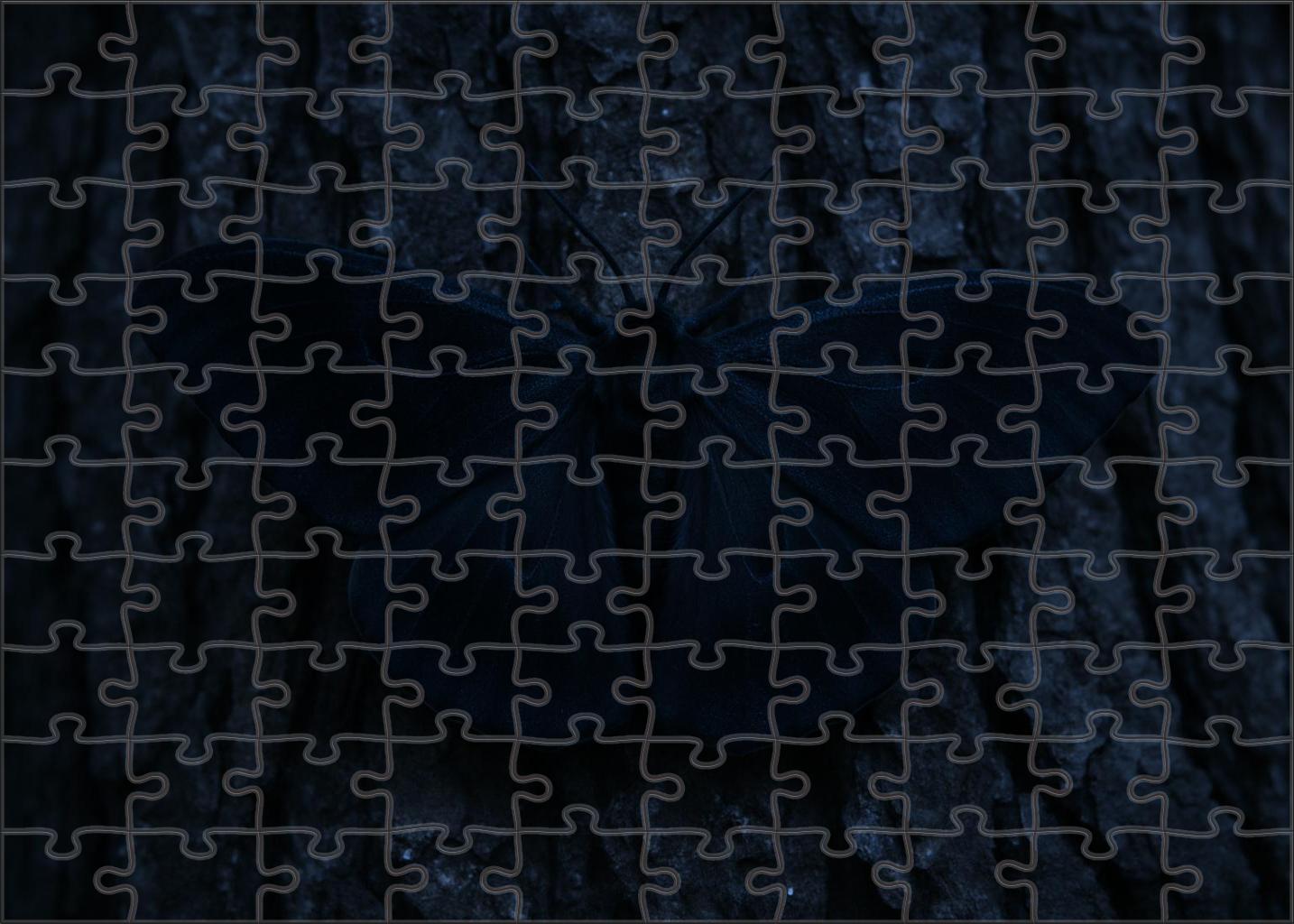 Obsidian Velvet Moth Nocturnal Insect With Glossy Black Wings And Silent Flight Puzzle Collection