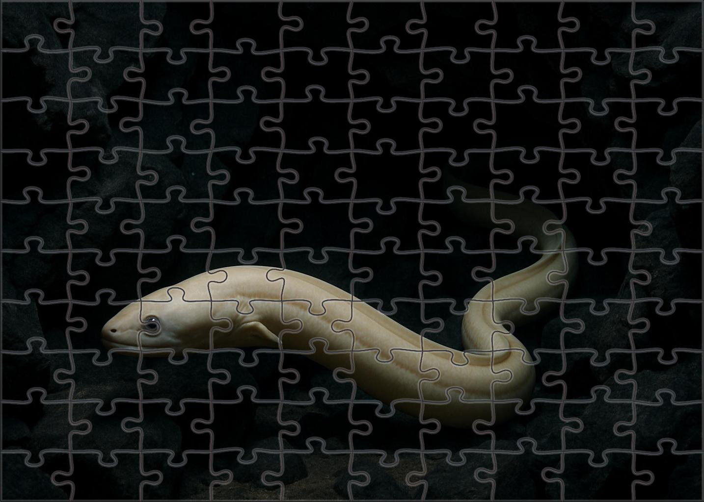 Ivory-scaled Sea Serpent Eel Slender Cavern Dweller Easy Puzzles