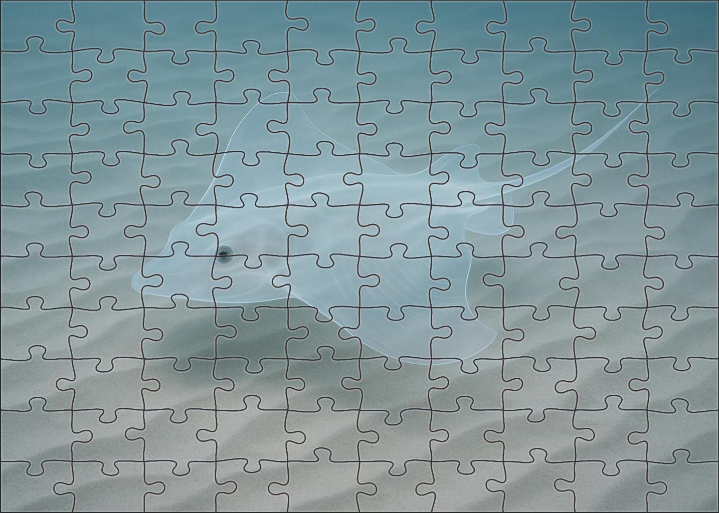 Ghost Glider Ray Ethereal Flat-bodied Filter-feeder With Transparent Fins Mini Puzzle