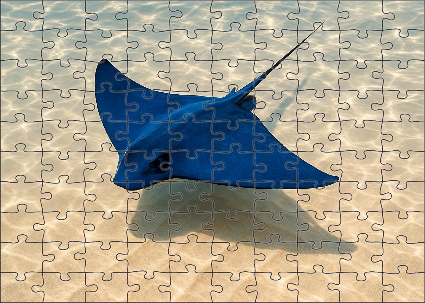 Sapphire Glide Ray Streamlined Filter-feeder With Electric Blue Pectorals Puzzle For Adults