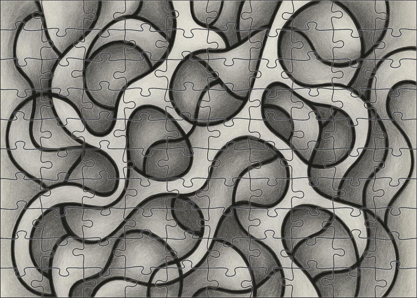 Abstract Organic Form Exploration Graphite And Ink Mixed Media Lines Puzzle For Kids