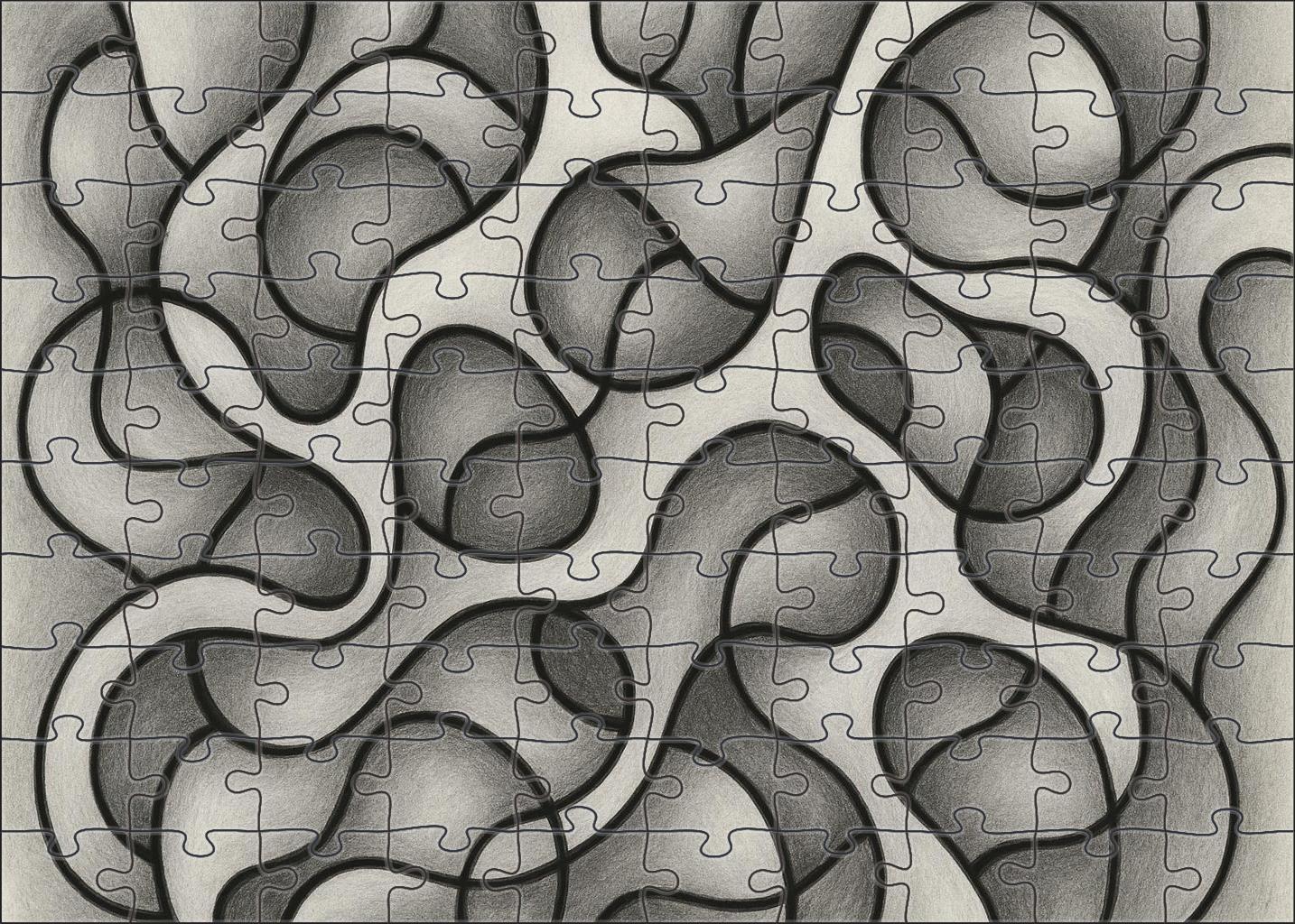 Abstract Organic Form Exploration Graphite And Ink Mixed Media Lines Puzzle For Kids