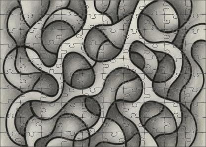 Abstract Organic Form Exploration Graphite And Ink Mixed Media Lines Puzzle For Kids