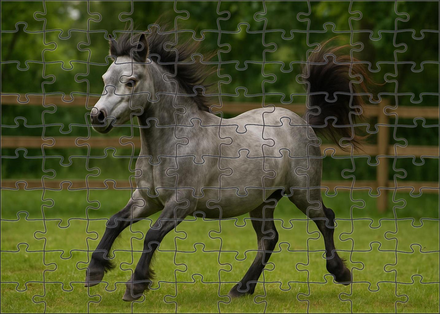 Silver Frost Pony Petite Gray Pony With Lively Expression And Quick Movements Easy Puzzles