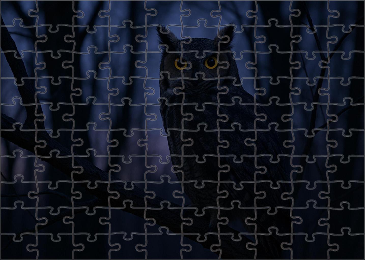 Great Horned Owl Night's Silent Apex Predator Puzzle For Kids