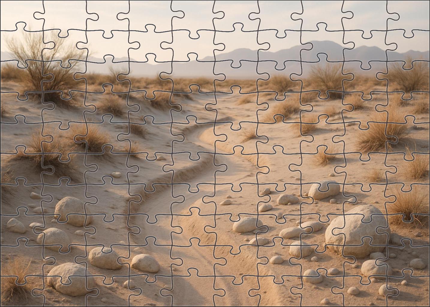 Ephemeral Desert Wash Family Puzzles