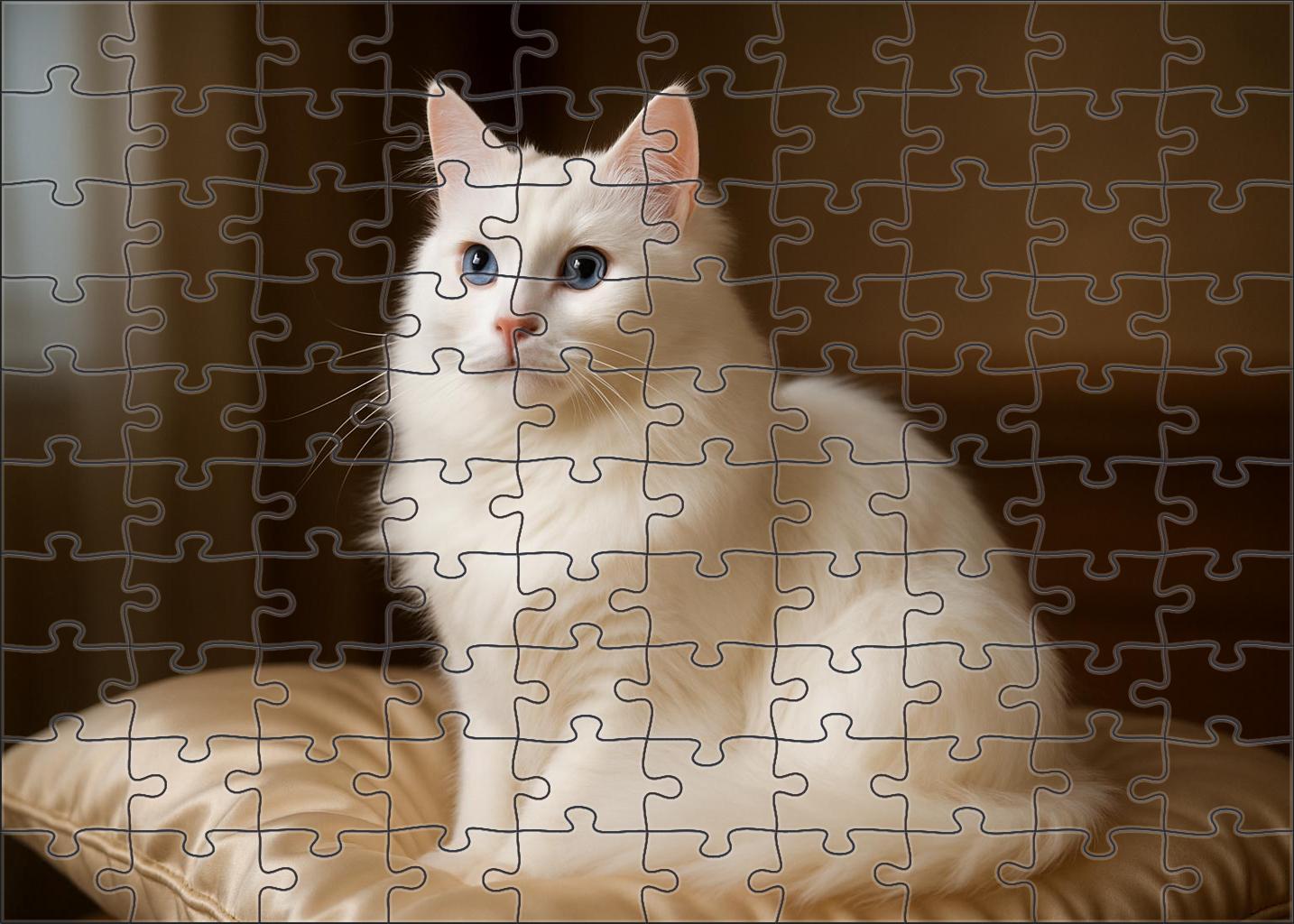 Pearl Silk 50 Piece Puzzle