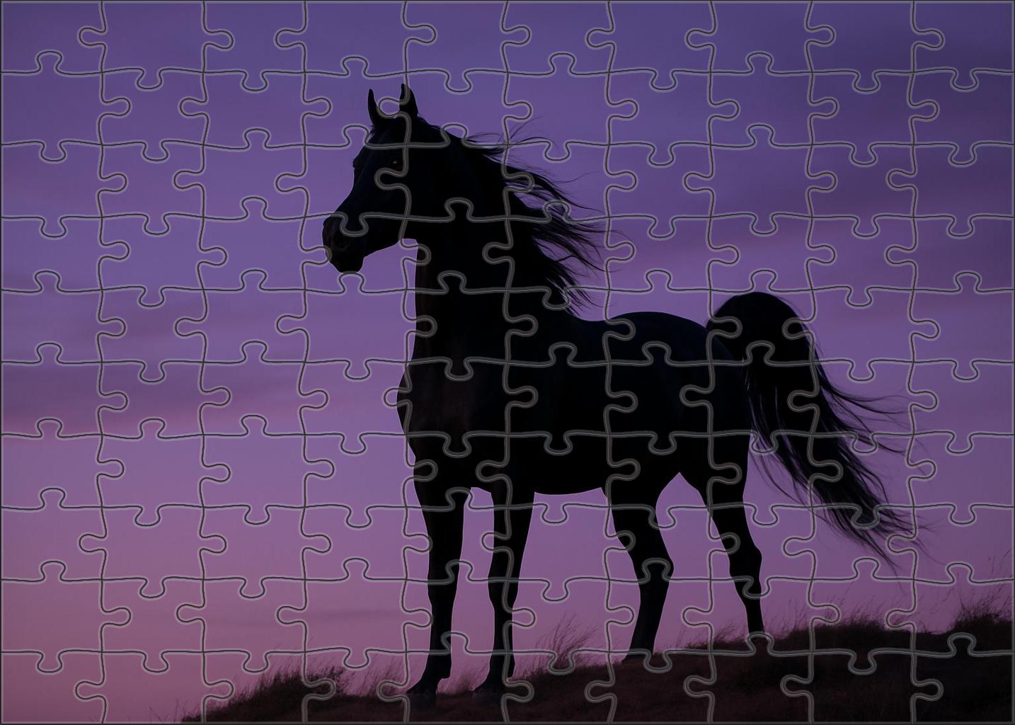 Midnight Velvet Arabian Stallion Midnight Black With Regal Bearing Puzzle Collection