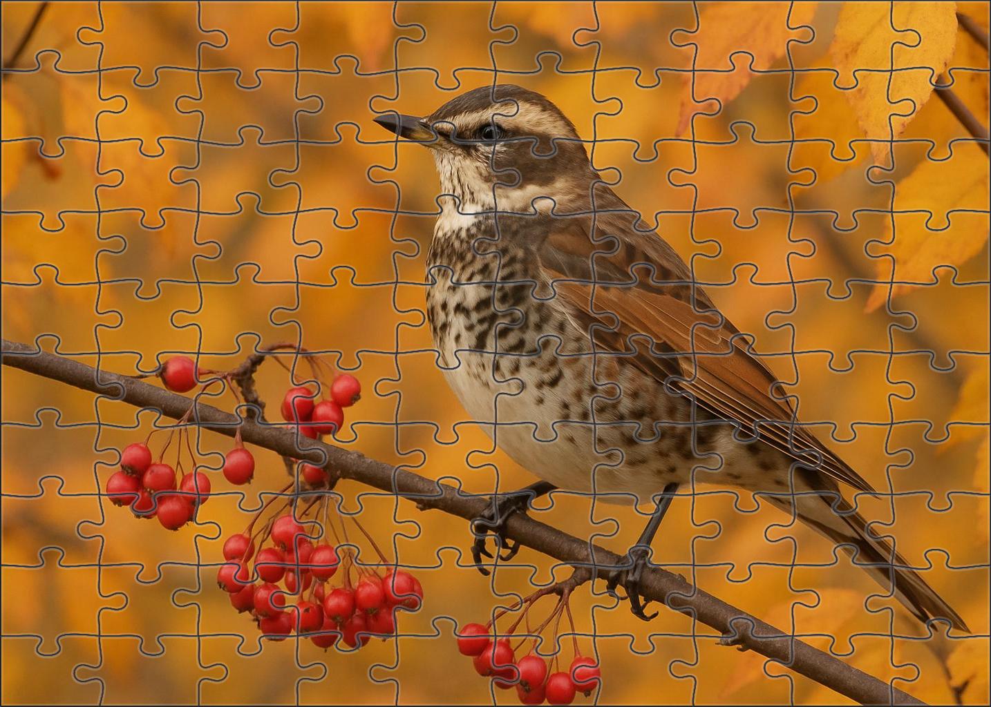 Dusky Thrush The Autumn Songster Premium Puzzle Pieces