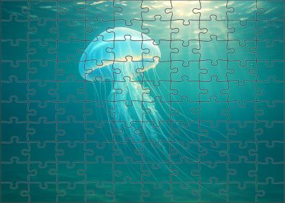 Iridescent Veil Jellyfish Delicate Drifter With Translucent Umbrella 300 Piece Puzzle