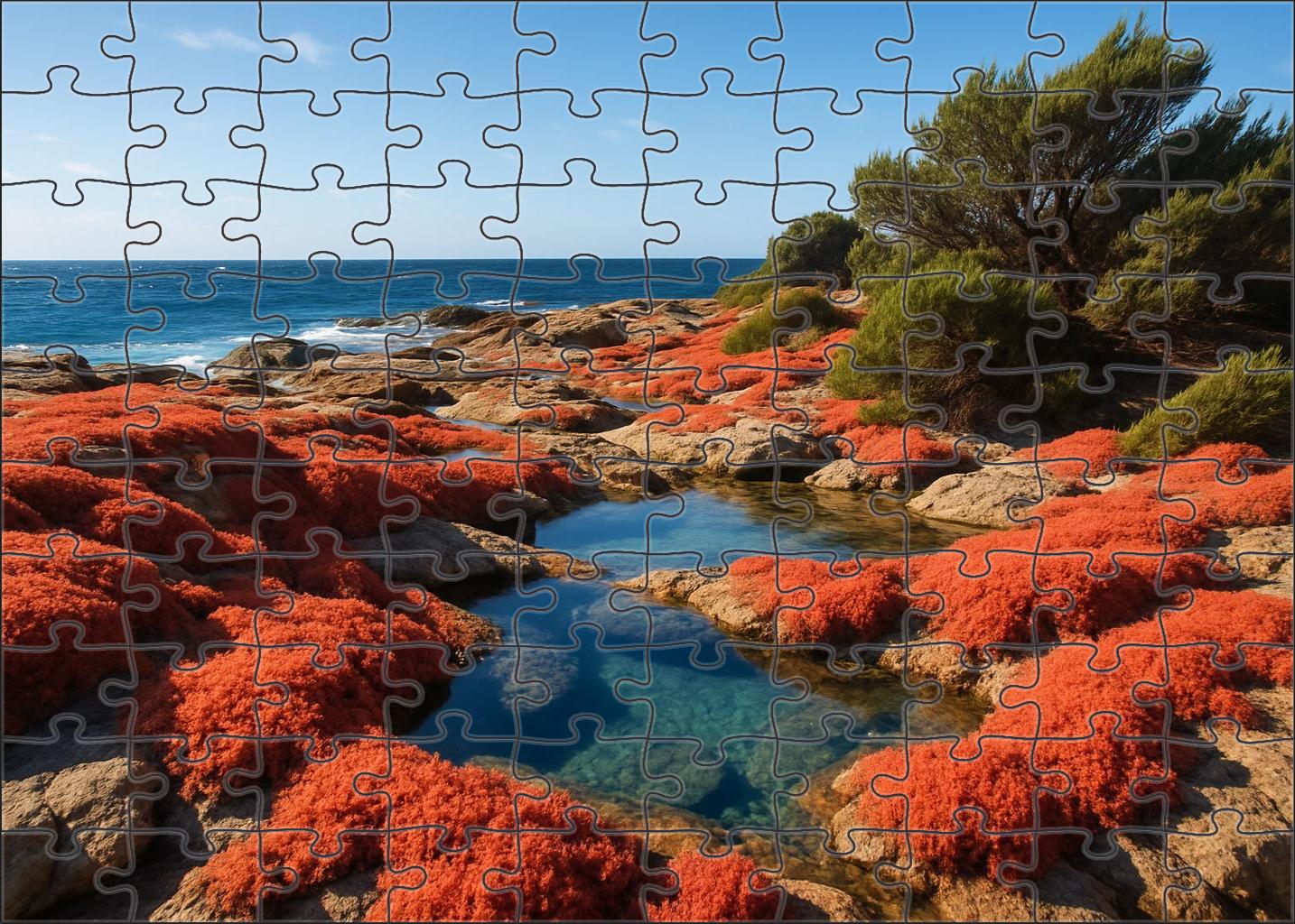 Coral Cove Tides Puzzle Challenge