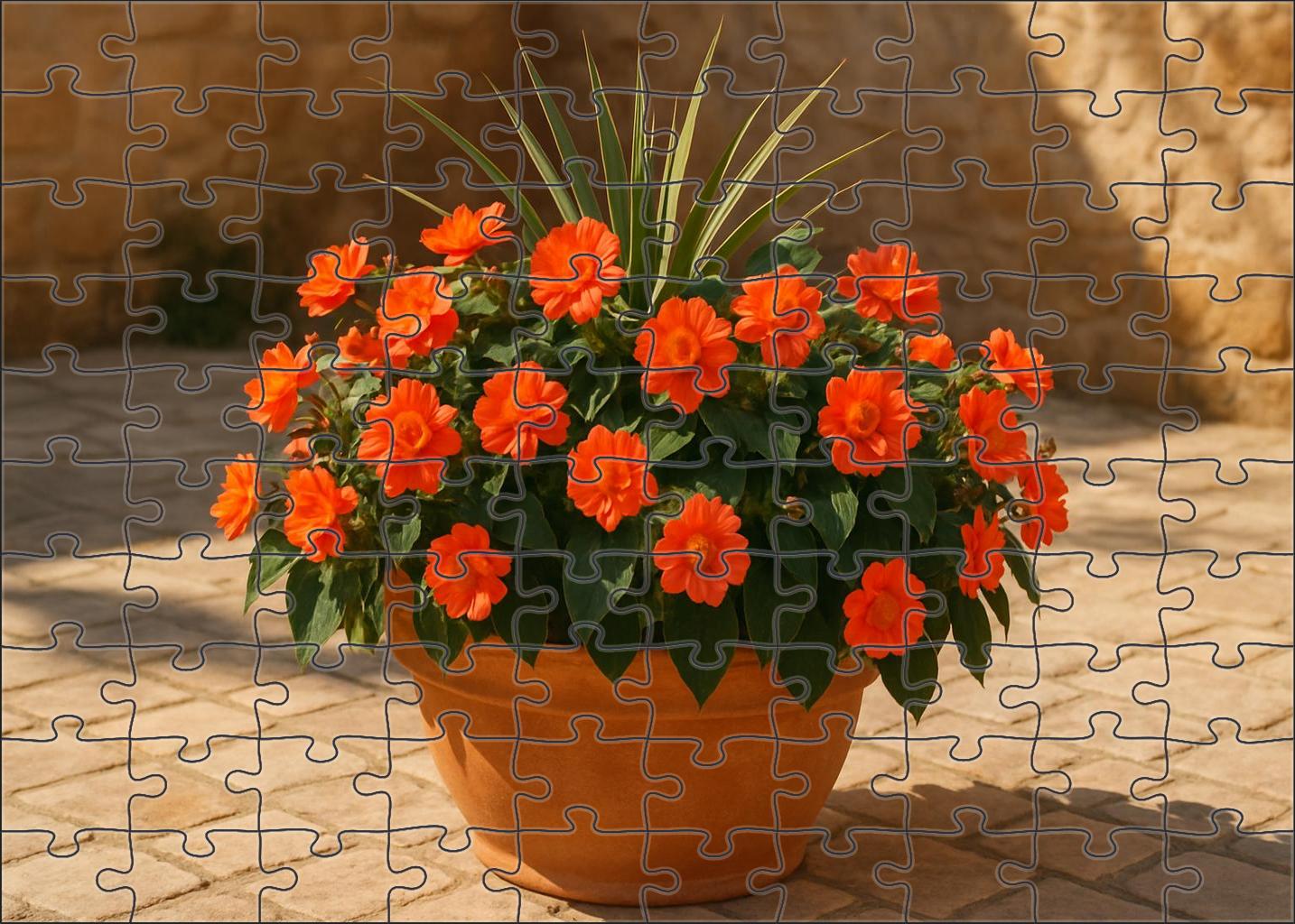 Sun-kissed Courtyard Planter Bold Orange And Coral Blooms With Spiky Green Foliage Accents Puzzle For Kids
