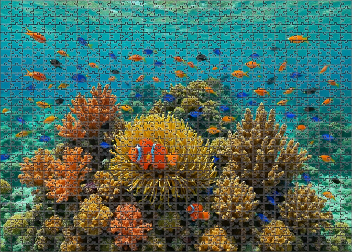 Coral Garden Plateau Vibrant Reef Spires In Shallow Clear Waters 50 Piece Puzzle