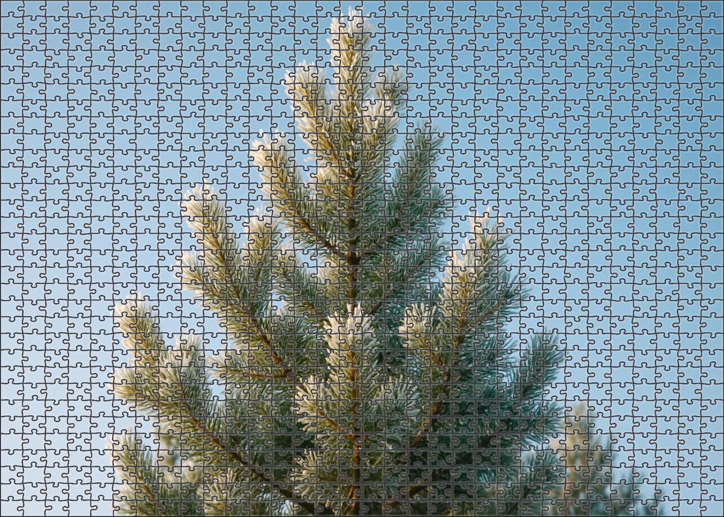 Frosted Pine Summit Puzzle For Kids