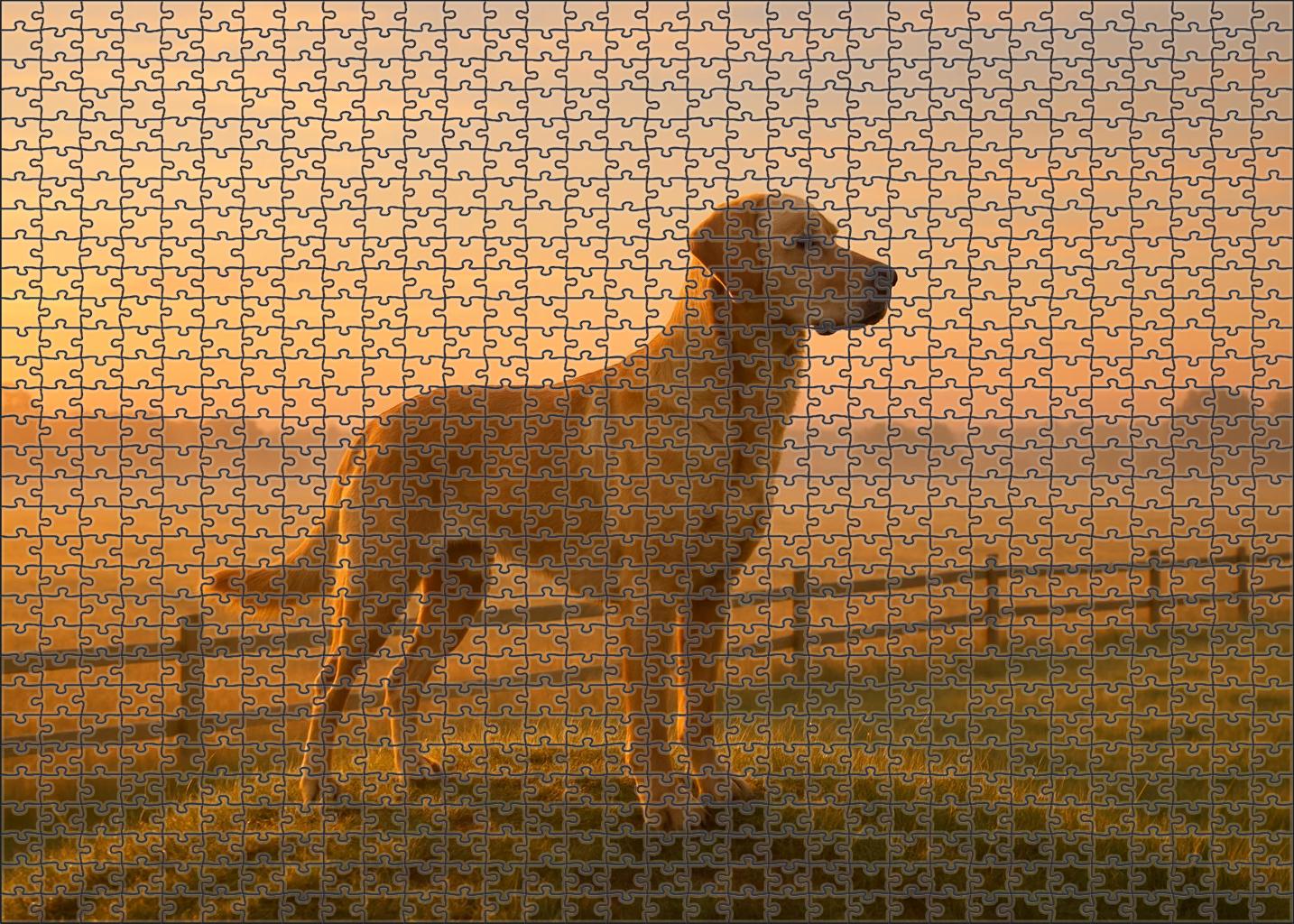 Amber Hearth Warm Golden Herding Dog With Loyal Spirit Custom Jigsaw Puzzle