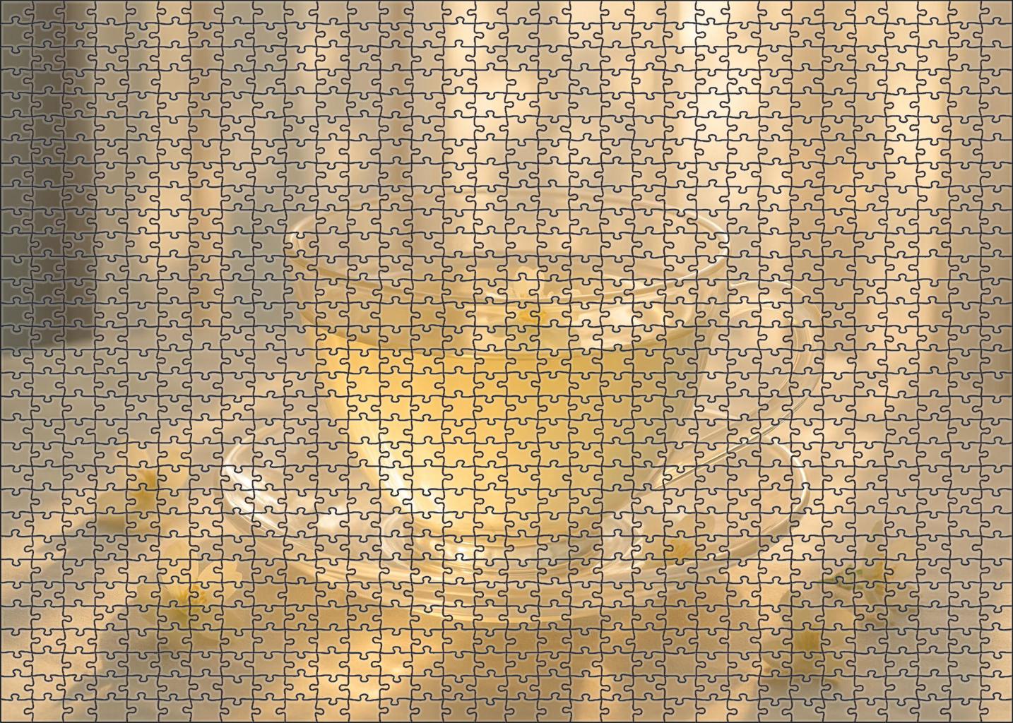 Silent Dawn Large Format Puzzle