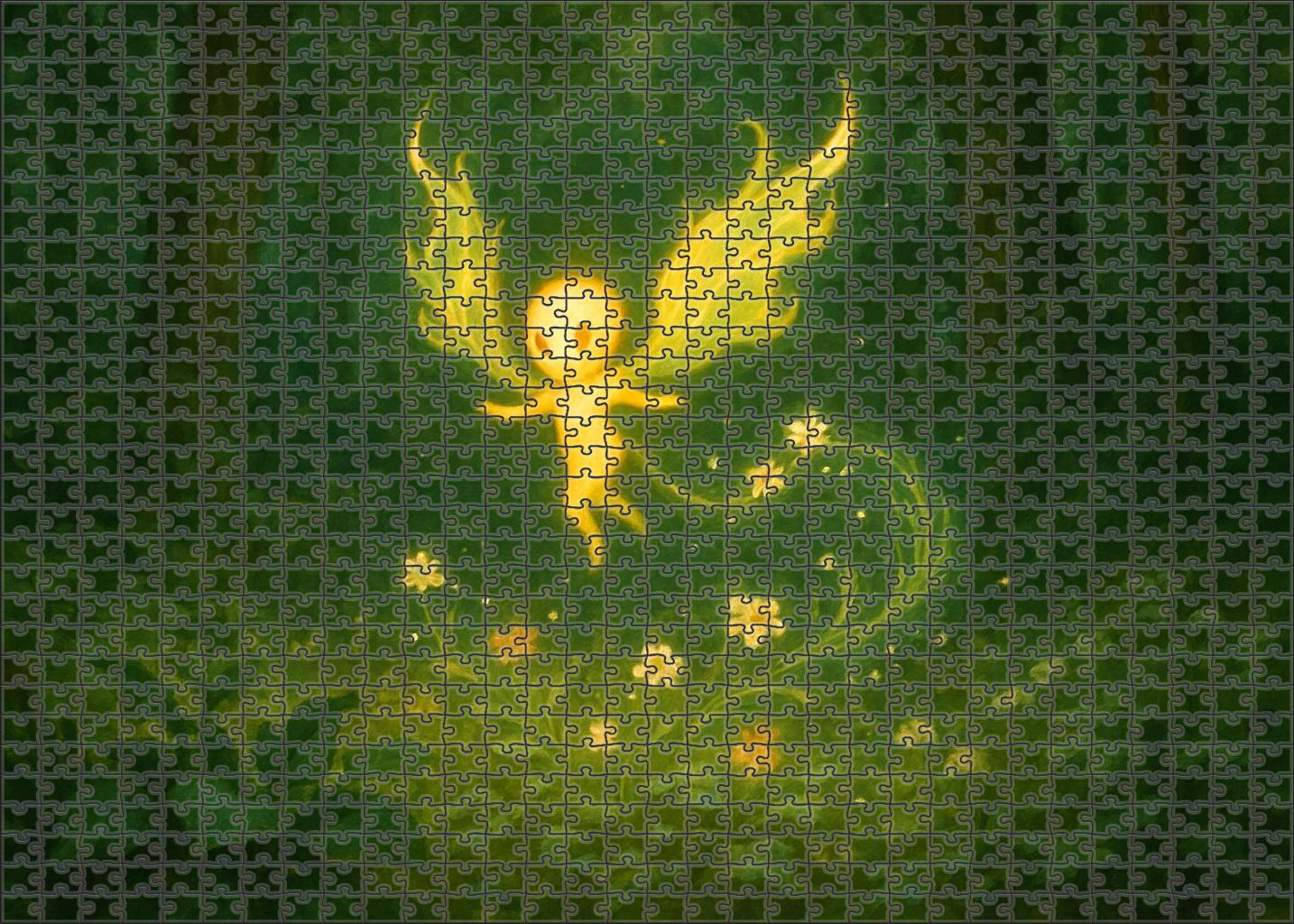 Verdant Ember Wisp 50 Piece Puzzle