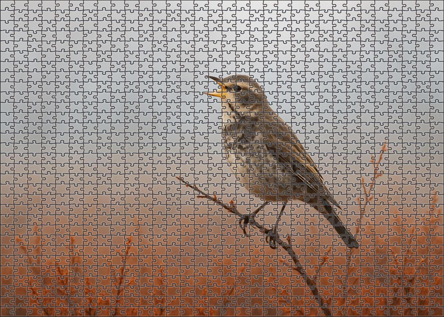 Dusky Thrush Autumnal Songster Of The Shrublands Puzzle For Kids